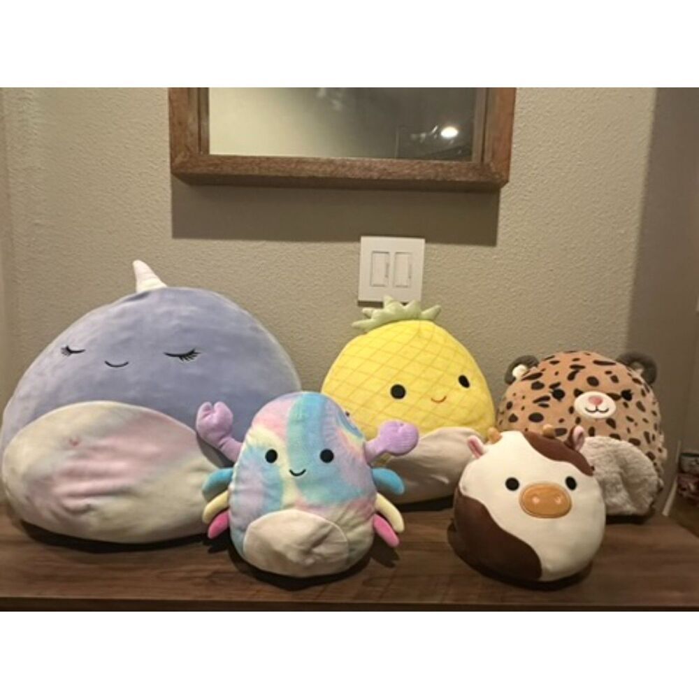 Bundle of Squishmallows (5 Pieces) - Different Sizes